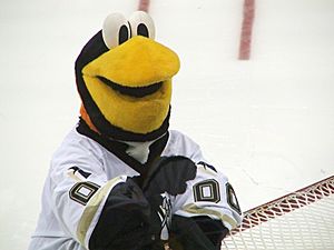 Iceburgh