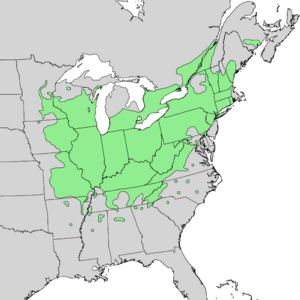 Juglans cinerea range map 1.png