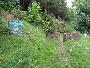 Kilvey Community Woodland entrance