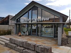 Mammut Museum Niederweningen 20170319 160434