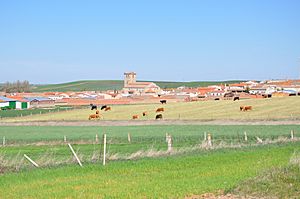 Panorama of Mancera de Abajo