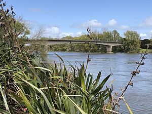 Mercer Bridge