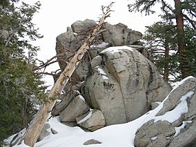 MountSanJacinto RoundValleyTrail.jpg