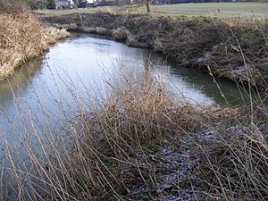 Mouth of River Eden.JPG