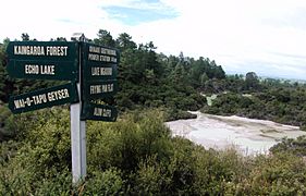 Ngakoro Lake Wai-o-tapu.-