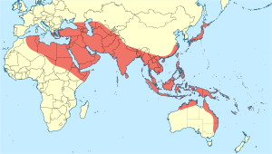 Orthetrum sabina distribution map.svg