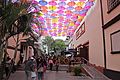 Paseo Lamas de los Teques y sus sombrillas