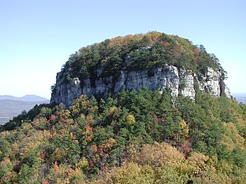 Pilot Mtn Knob 2.JPG