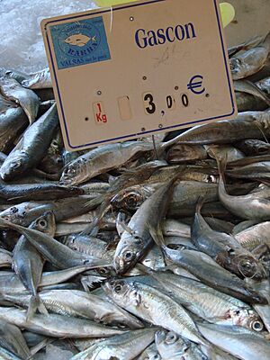 Poissons au marché 3