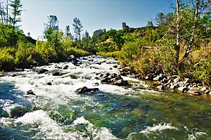 Putah Creek April 2018 Crystal flats.jpg