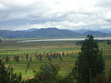 San Miguel de Sema Ganaderia Laguna