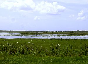 St Johns River Middle Basin