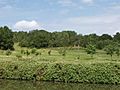 Sudbury Golf Course on Horsenden Hill, from Grand Union Canal - geograph.org.uk - 18255