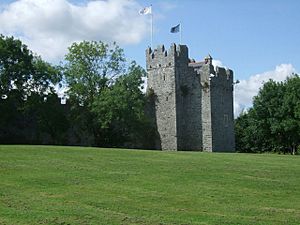 Swords Castle, County Dublin - geograph.org.uk - 1449377