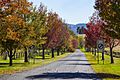 Tenterfield Countryside in Autumn-1 (8713175322)