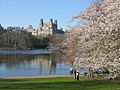 The Lake Central Park