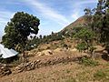 Threshing in Gumuara