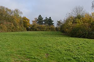 Tilwick Meadow 9.JPG