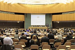 UN working group on nuclear disarmament, May 2016