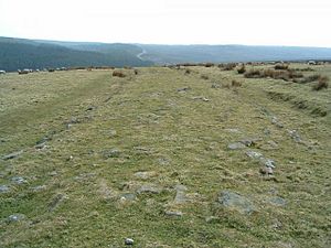 Photograph of Wade's Causeway, taken in 2005, showing the stone surface almost completely hidden by vegetation