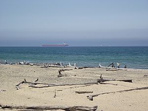 Whitefish Point beach