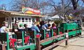 Zilker train