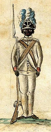 1st Rhode Island Regiment Soldier Cropped