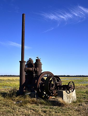 A.M. Bohnert Rice Plantation Pump.jpg