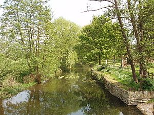 Abbey River Chertsey