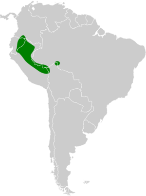 Anurolimnas castaneiceps map.svg