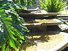 Fountain in Hyde Park Sydney