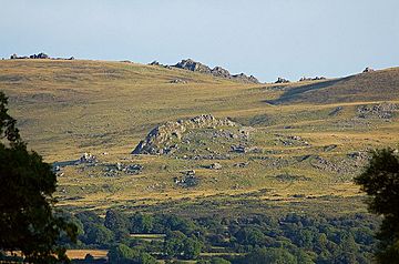 Carn Menyn from Eglwyswrw - geograph.org.uk - 1435904.jpg