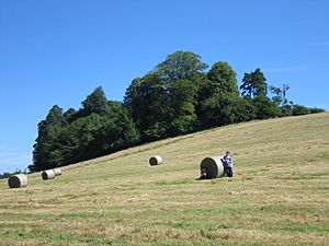 CavanHayfield