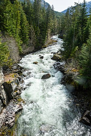 Cheakamus River