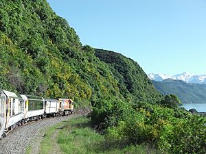 Coastal Pacific on Kaikoura Coast.jpg