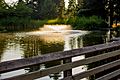 Cochrane Memorial Park, Yelm, Washington - On the dock