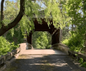 Covered Bridge in Middletown