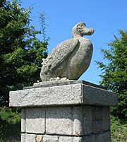 Dodo, Jersey Zoo