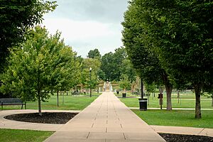 Dogwood Park Fountain View