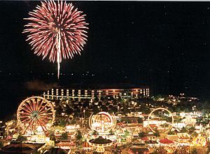 FireworksGovCenter2