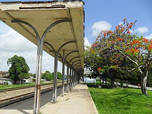 Florida, Cuba - panoramio (3)