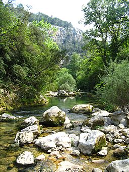 Gorges de la Siagne.jpg