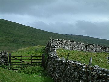 Great Whernside.jpg