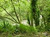 Halnaker Chalk Pit