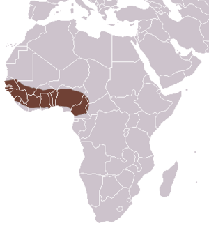 Haussa Genet area.png