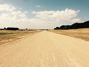 Hindmarsh Island Airstrip, 2014