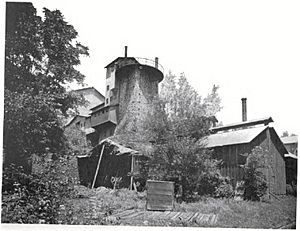 Isabella Furnace Ruins