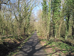 Jubilee Country Park path