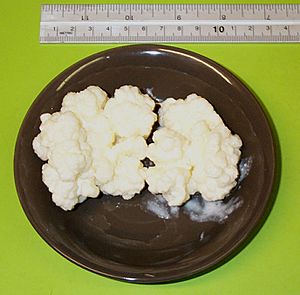 Kefir-grains-90grams