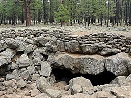 Lava River Cave Arizona.jpg